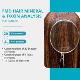 Hair Mineral Analysis Test